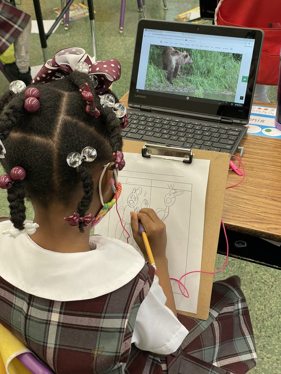 KristinZiemke's tweet photo. Kindergarten friends are documenting their new learning and wonders as they read video to gain new information via @thekidshouldsee! @bigshoulderschi #ViewToLearn #ReadTheWorldNow #DigitalTHINKING #OurKidsTeach #KinderCan #kindergarten #kinderchat #pypchat #1stchat https://t.co/g2cnCPuZxW