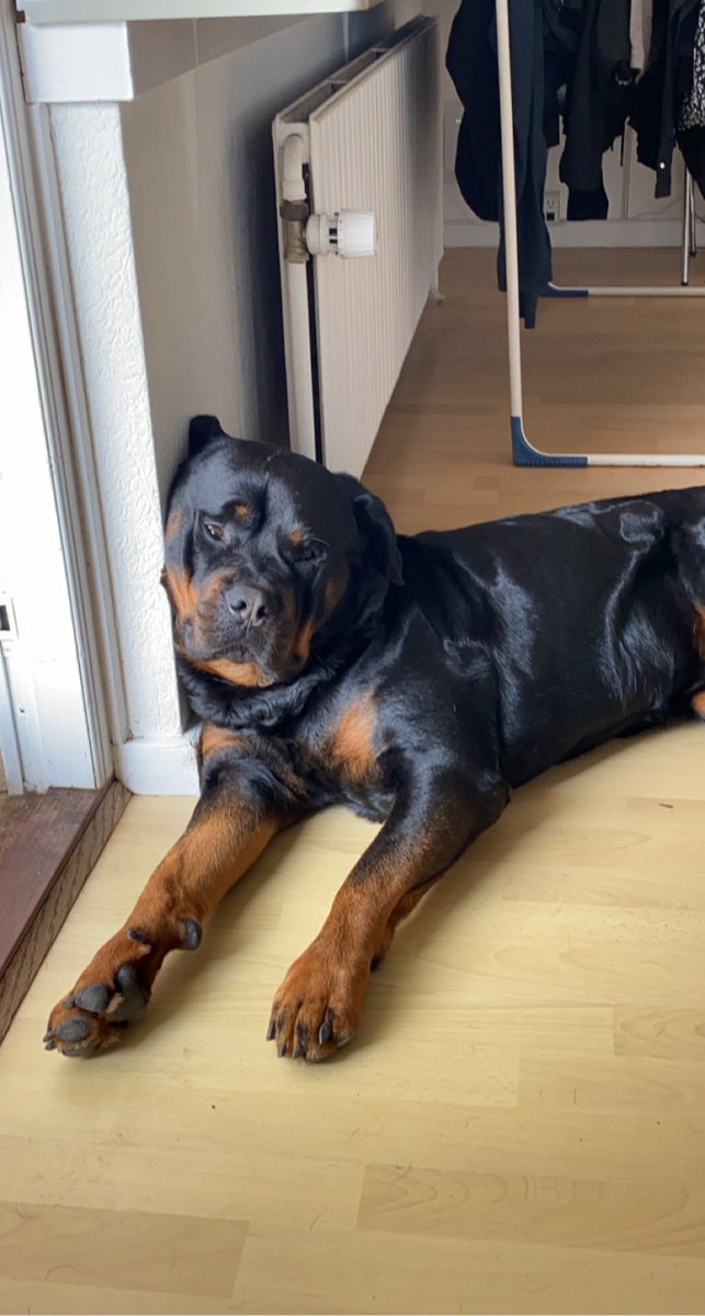 Lukiz🐧 tweet media