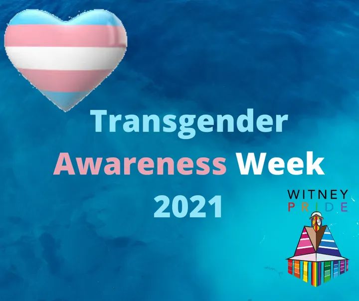 🏳️‍⚧ It's Transgender Awareness Week 🏳️‍⚧ 🏳️‍⚧ Raising awareness of, educating about and celebrating our transgender community. 🏳️‍⚧ #transawarenessweek2021 #trans #lgbt #Witney #TransRightsMatter #LwiththeT #transmenaremen #transwomenarewomen #nonbinary #genderfluid