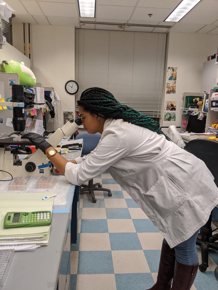 Dr_Letsbereal's tweet image. Hi @BlackInImmuno I'm a 5th year PhD candidate at @HopkinsMedicine @hopkinskimmel. I am in the Cellular and Molecular Medicine graduate program @CMM_JHU, and I currently study neoantigen specific T cell responses in lung cancer patients!  #TrynaGraduate #SJSUGrad #BIIRollCall