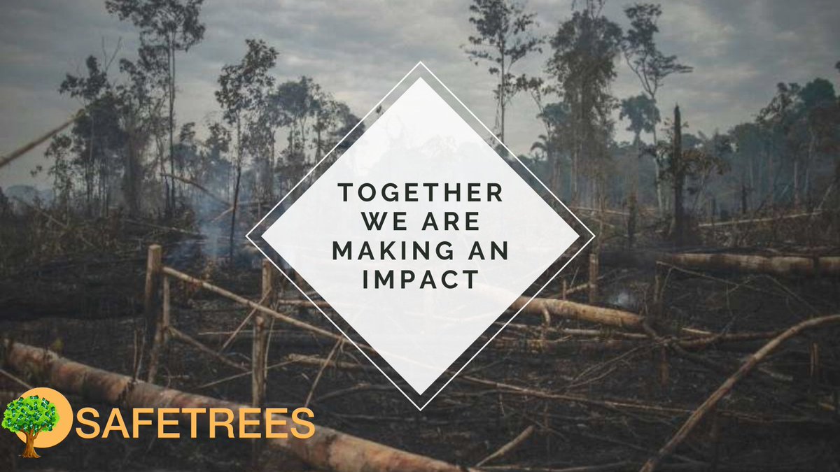 Amazon Deforestation Hits Monthly Record In Brazil

RETWEET Help stop deforestation Now! 

WE NEED MORE $TREES 🌳🌳

#SAFETREES $TREES #climate 
newsconcerns.com/amazon-defores…