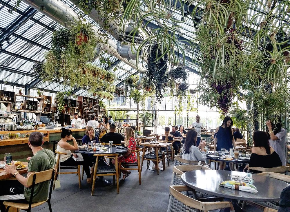 dmcharvesthaven's tweet photo. Holiday Season = Family Gatherings! 
We host holiday gatherings! Find out all the details and perks about hosting your greenhouse gathering by checking out our new blog post! 
https://t.co/KVCoyb4QX4
Image Credit: DuckDuckGo Images
#GreenhouseHolidays https://t.co/wPFsnDMJsz
