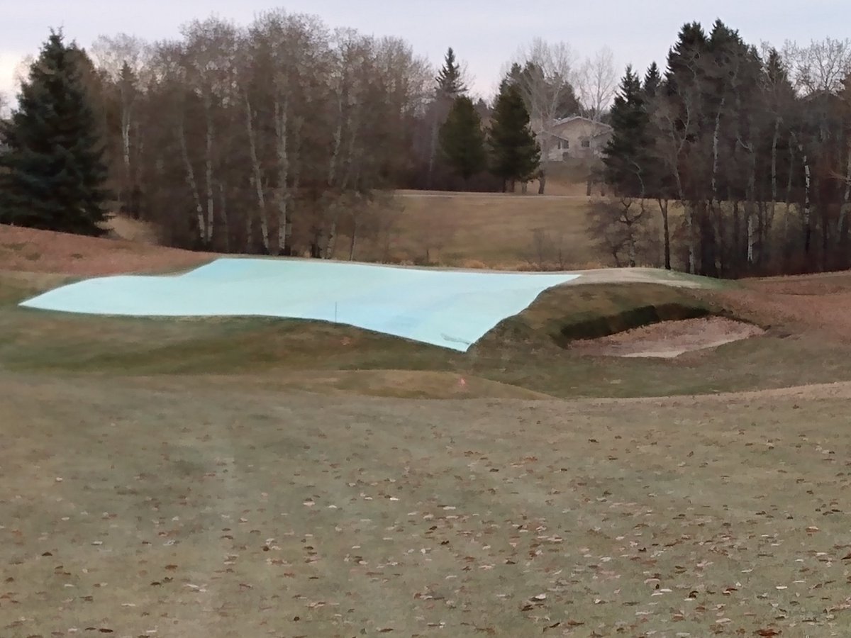 cw_turf's tweet photo. @BYTurf This one would like ice armour #TogetherWeTurf https://t.co/ABTjoq2vqF