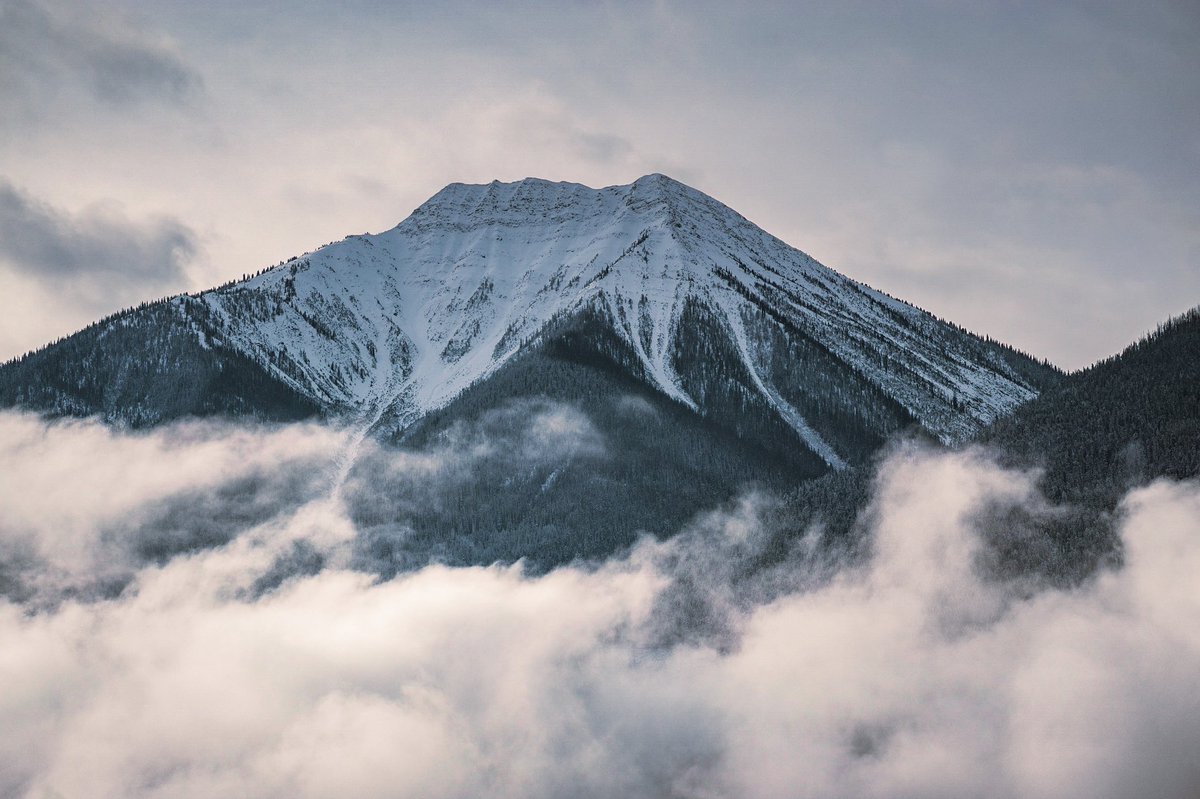 Mountain Mondays ✨

#MountainDreams #BritishColumbia #WinterWonderland