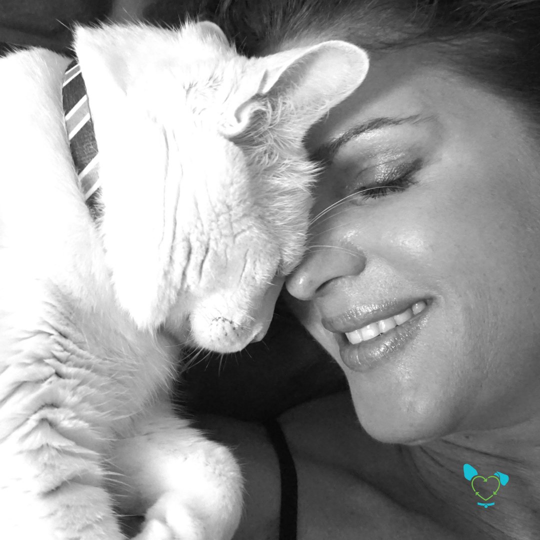 TheMicrobial's tweet photo. One reason older pets are harder to adopt out is because we want as much time with them as possible. Even though it's hard to watch your animals age and pass on, it's such a fulfilling experience to bond with an elderly animal and give them a loving home for their last days. https://t.co/UOgqVSjdd9