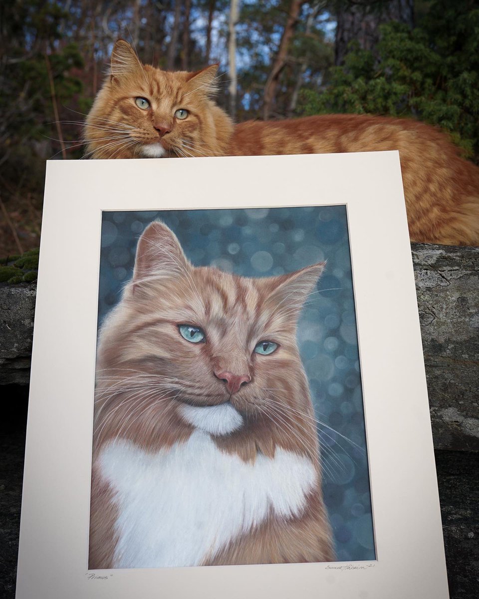 primuscat's tweet photo. Got this amazing artwork from https://t.co/QURwDGp639❤️ https://t.co/2PgG5GjQB4