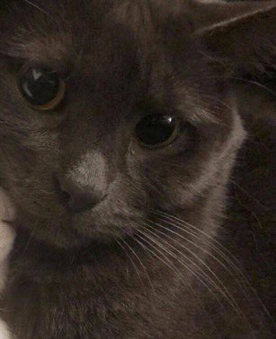 Ioveuspace's tweet image. eu i você