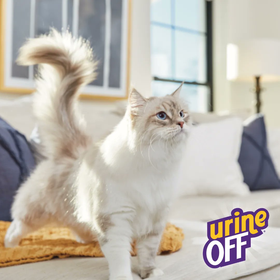 Urine Off Pet Products tweet media