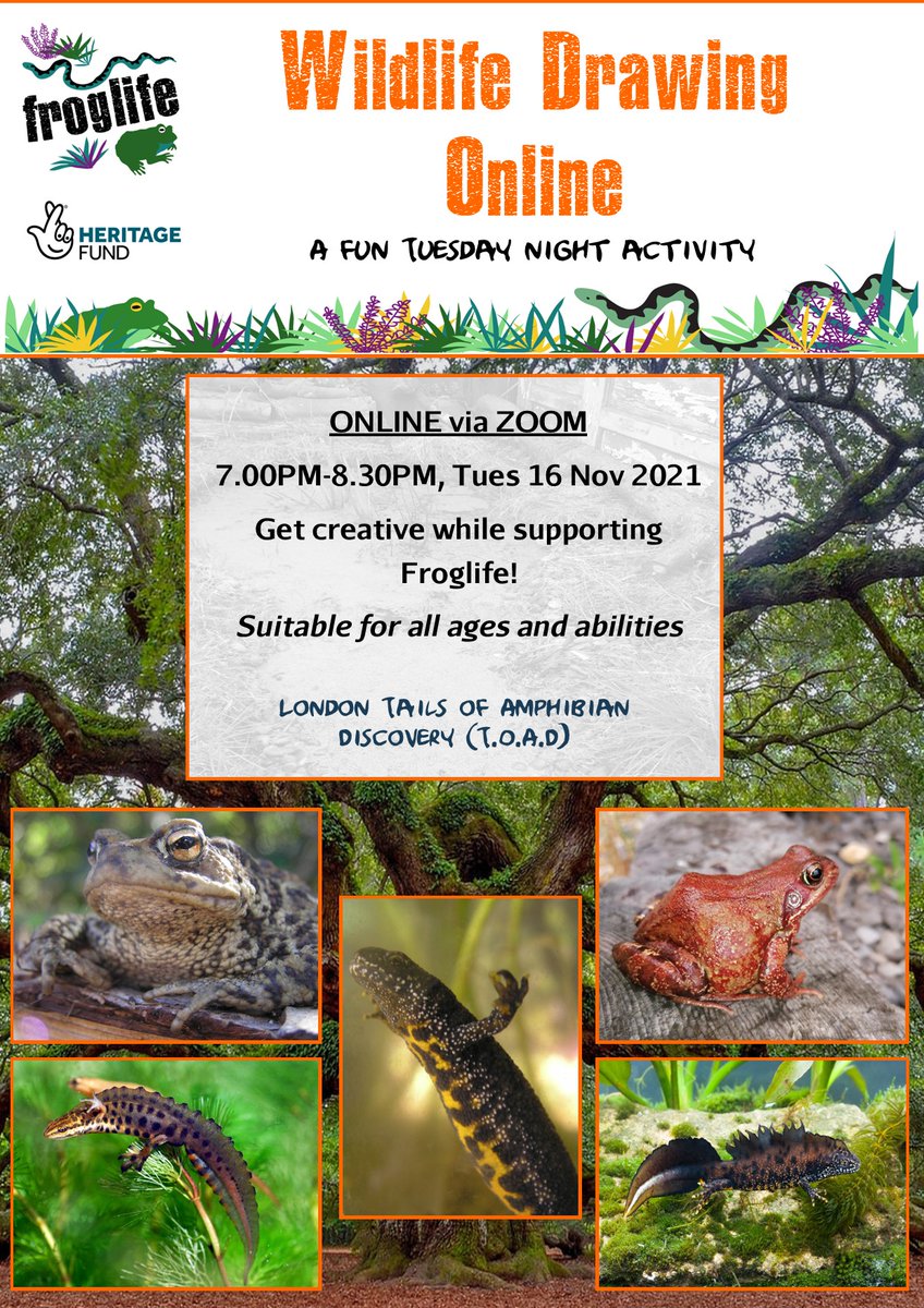 Froglife (@froglifers) on Twitter photo Fancy getting #creative with us TOMORROW? #Froglife has teamed up with <a href="/WildDrawing/">Wild Life Drawing</a> to deliver a #fun event all about #amphibians! So grab your pencils βοΈ pens ποΈ and paper π and join us.
Tickets are subject to availability via π bit.ly/3mSRfJF Fancy getting #creative with us TOMORROW? #Froglife has teamed up with <a href="/WildDrawing/">Wild Life Drawing</a> to deliver a #fun event all about #amphibians! So grab your pencils βοΈ pens ποΈ and paper π and join us.
Tickets are subject to availability via π bit.ly/3mSRfJF