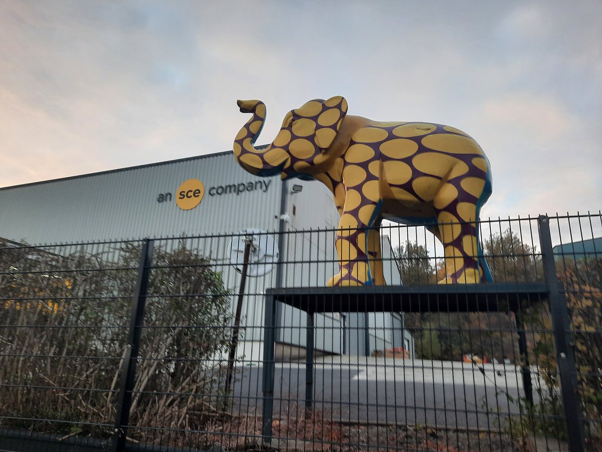 ShefEnvironment's tweet photo. It was nice to find one of the #BearsOfSheffield close to a member of the #HerdOfSheffield on the way home from #Sheffield City Centre this afternoon at @StreetCranexprs near @LoveMeadowhall
@BearsofSheff https://t.co/rxcIjUYb0l