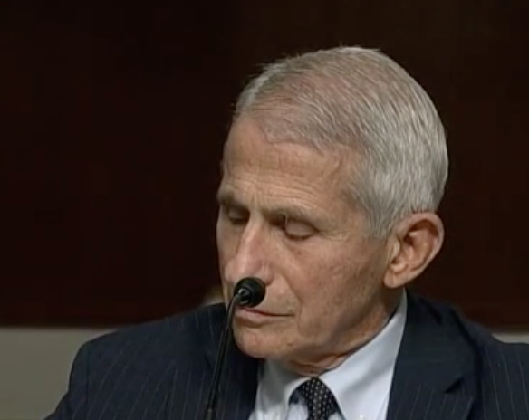 this psychotic criminal should be fired, arrested, tried, & exiled to mars
perhaps a class-action lawsuit suing for all his back salaries paid to him via tax-payer funds too
#ArrestFauci #Fauciemails #FauciDogTorturer #fauciTheCriminal #fauciliedpeopledied #fauciliedmillionsdied