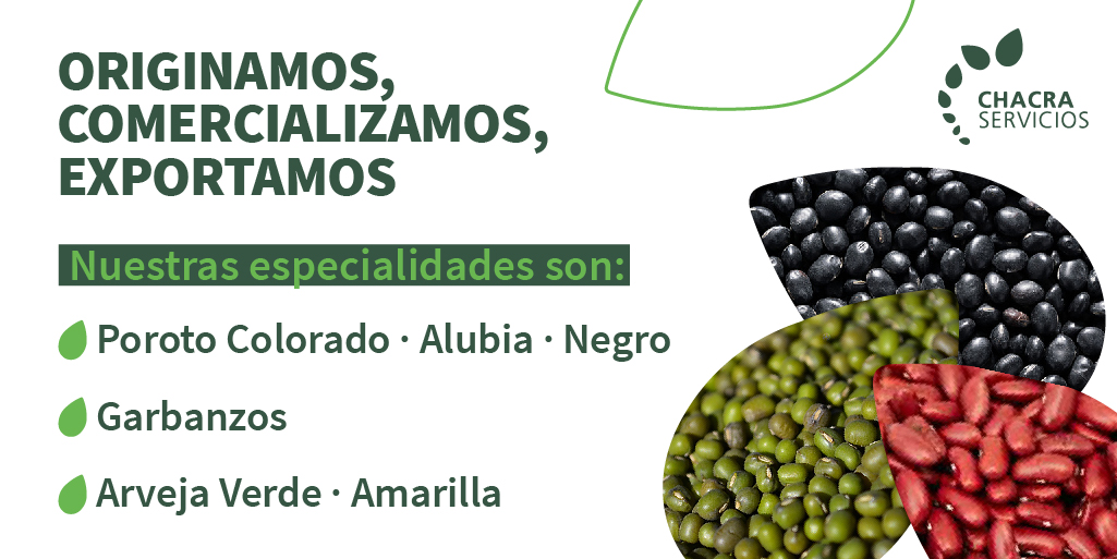 chacraservicios's tweet photo. ¿Sabías que #Originamos, #Comercializamos y #Exportamos productos de altísima #Calidad para los mercados más exigentes? 💪🌎
Nuestras especialidades son:
▪Poroto Colorado/Alubia/Mung/Negro
▪Garbanzos
▪Arveja Verde/ Amarilla
.
¡Conocenos! 🌐📲 https://t.co/kyBq17NHh0 https://t.co/D5PZZRZGnk