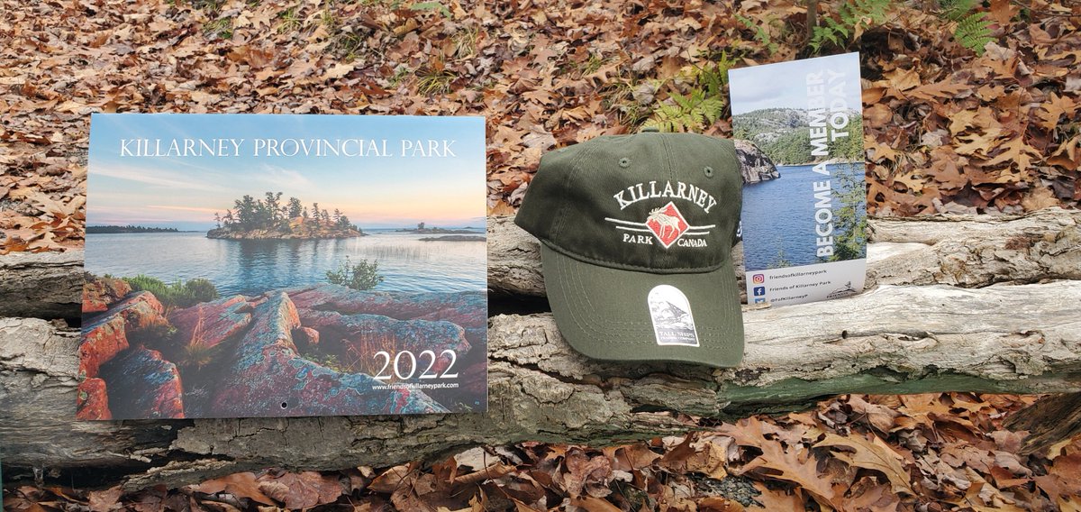 FofKillarneyP's tweet photo. 4/4 Disclaimer: 
This competition is not affiliated with Instagram, Facebook or Twitter. We will never ask you for your credit card details to participate in our contest. Please do not click on any links if you are not sure." https://t.co/yKdvhBJjF1
