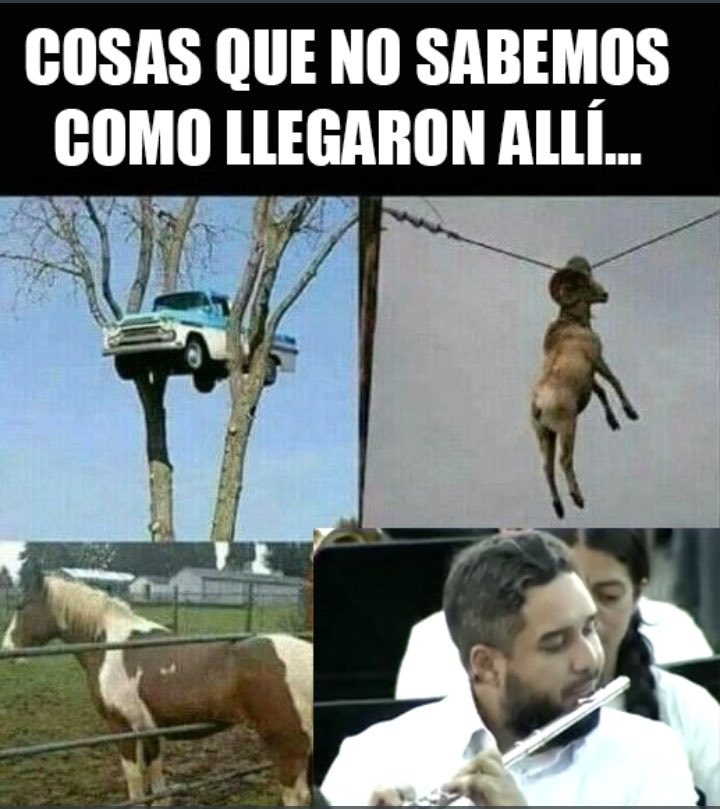miguelhotero's tweet photo. ¿Qué tal? https://t.co/PIBbN8D8uj