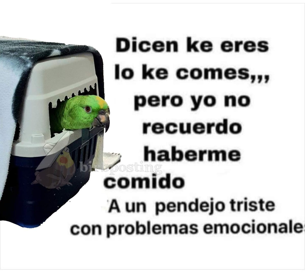 arrobaJuan (@vatojuan_) on Twitter photo 