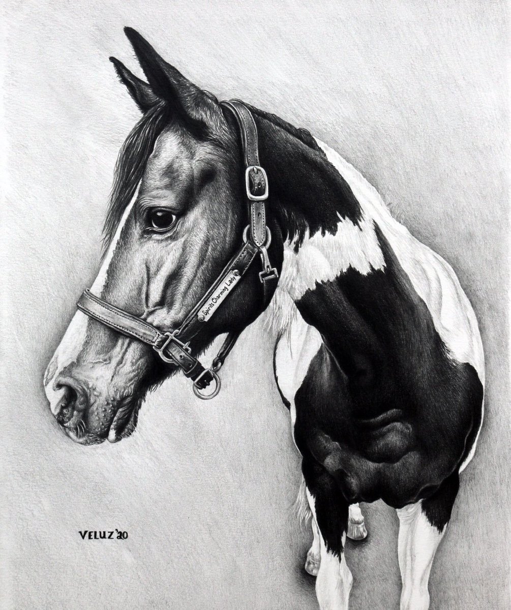 VictoriaVeluz's tweet photo. Drawing Horses was really tough for me. 🐎 Some Tips to Get it Done ✅ 👇🏼
https://t.co/dOxNdtZAaf 🙏🏼 11*14in Graphite on Mixed Media Paper. What motivates you to create art 🖼? Please share… https://t.co/zlhJhvBMMy