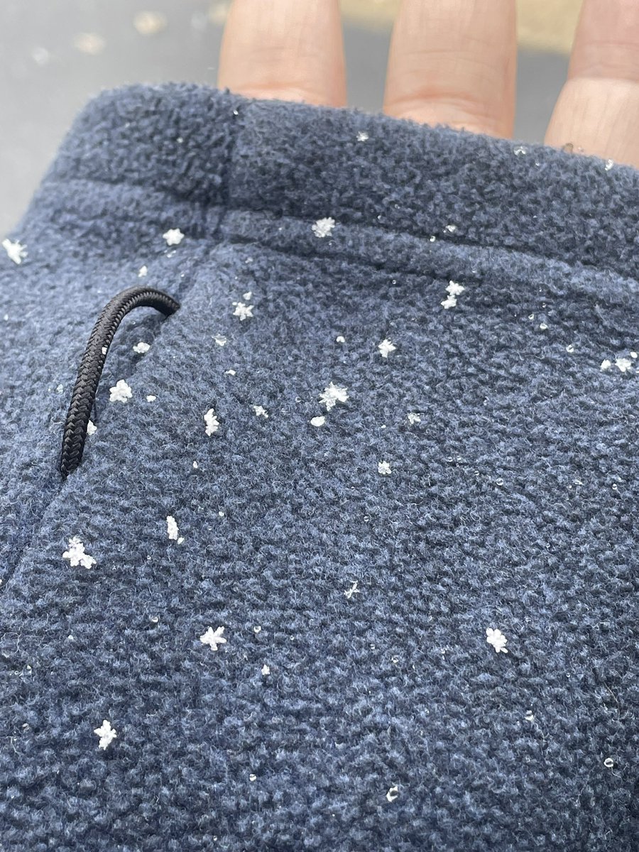 They’re like little stars falling (it’s my first snow)❄️❄️❄️