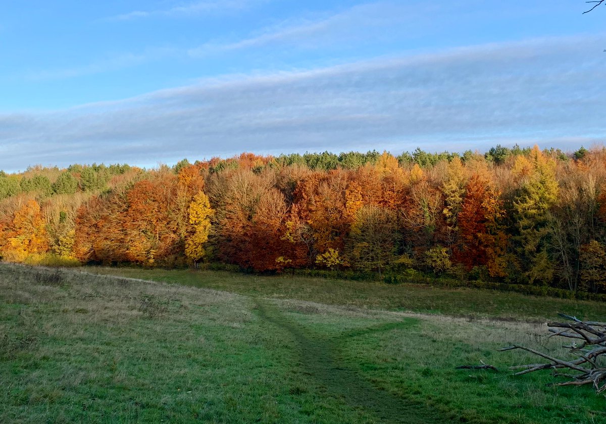 rebecca5key's tweet photo. 5.2 miles today for #November100 
Most I’ve managed for a while 🏃‍♀️🥳
📷 Autumnal splendour 310pm #BeautifulBucks 

@MrsARose1 @FopianoJoy @ArmadilloBlue1 @Pamsplants1 @erimegsmom @AnnaHerrington1 @papaver @hartnell8 @DigBitchDig1 @mamaspearl https://t.co/KeoCcDtBe1