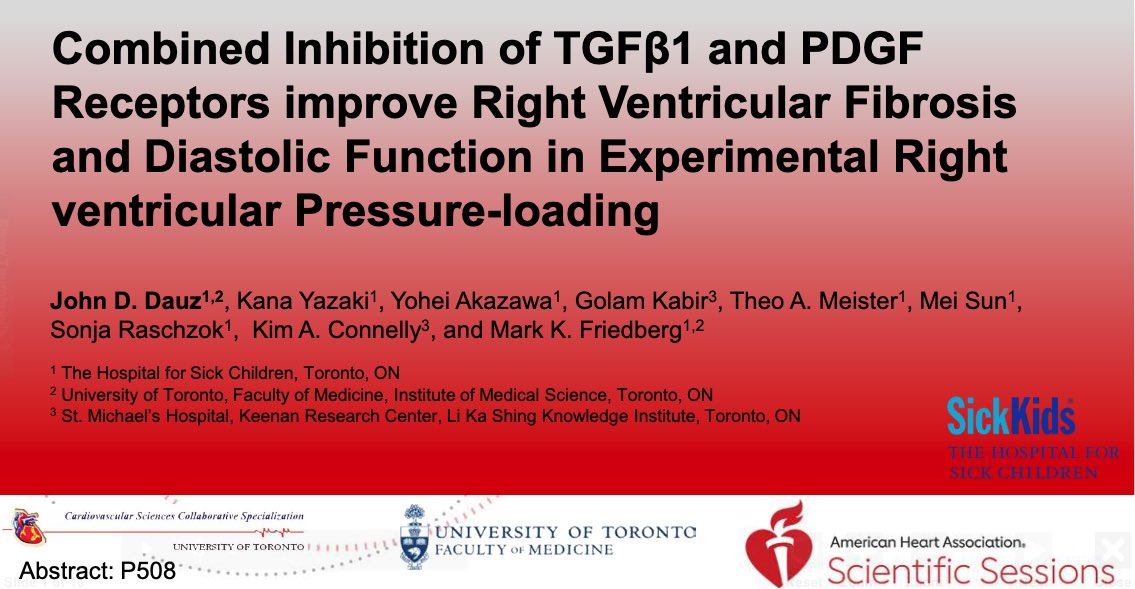 jddauz's tweet photo. Excited to present my poster this year at #ScientificSessions21 Don’t forget to check it out! So many great posters this year! #AHA21 @AHAMeetings @AHA_Research 🫀#ePoster https://t.co/NOqd64RYtA