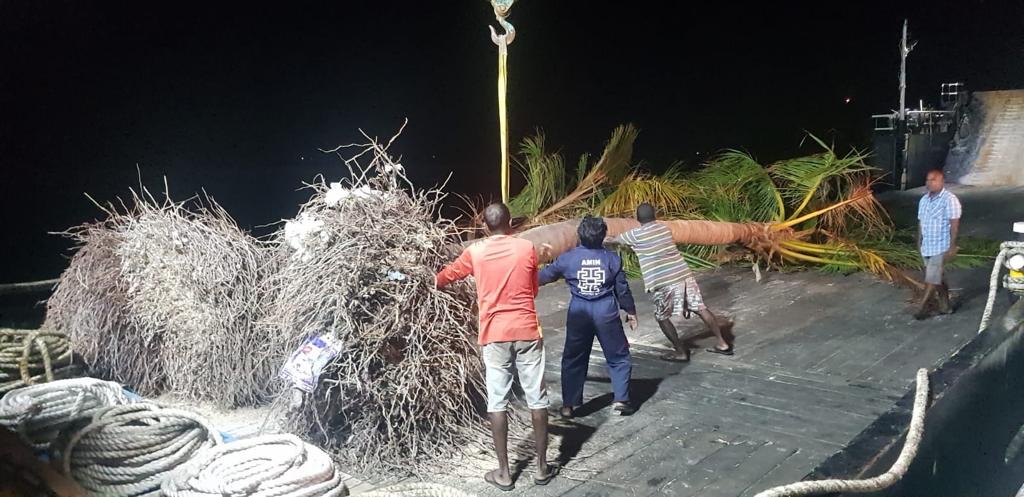 fourmea's tweet photo. It’s better to do a reality check before promoting high level politicians as climate advocates. They are silent or at times facilitates to destroy vulnerable climate. Just recently more than 200 matured palm trees were removed from Dh. Kudahuvadhoo &amp; sold to a tourism tycoon. https://t.co/mYkpbjEiVM