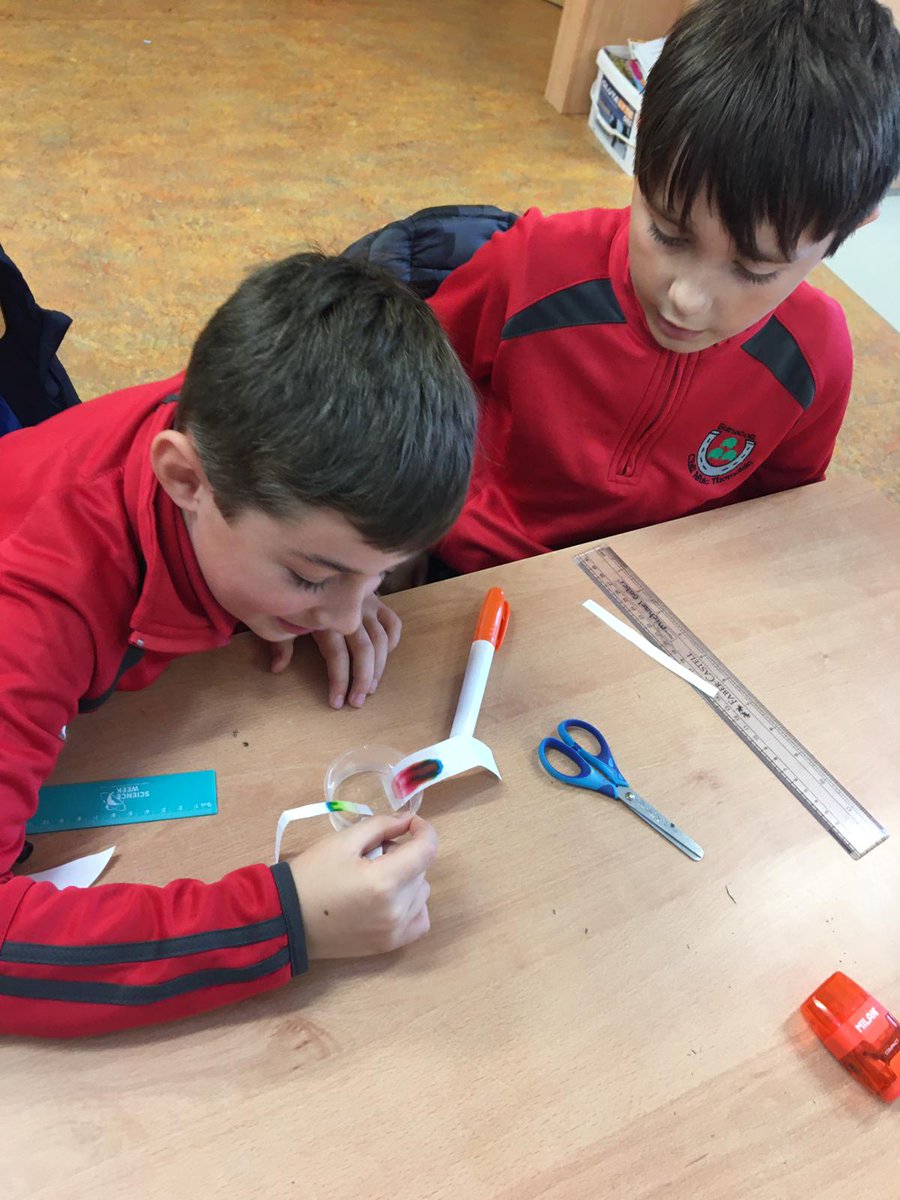 KilmacthomasPrimary tweet media