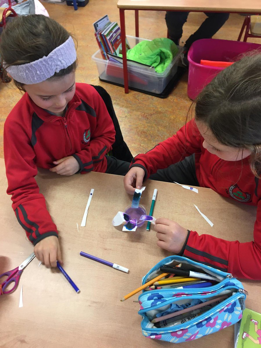 KilmacthomasPrimary tweet media