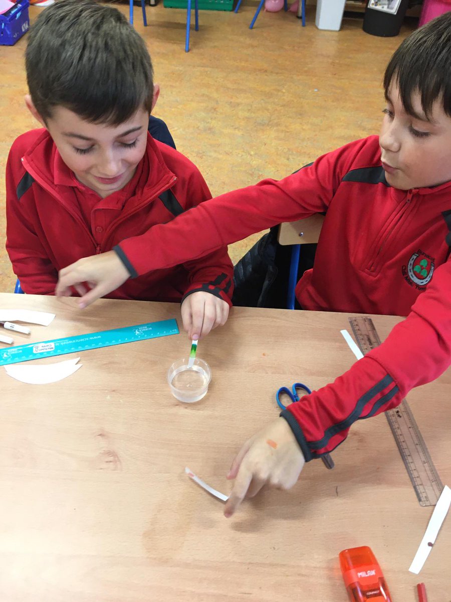 KilmacthomasPrimary tweet media