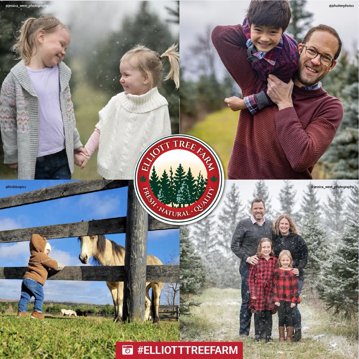 ElliottTreeFarm's tweet image. 🌲The farm is now officially open for the season! 🌲 

Just a reminder that you do not require reservations this year at the farm. Face masks will be required in the barn and when physical distancing isn’t possible. 

Thank you for visiting and sharing your photos with us!