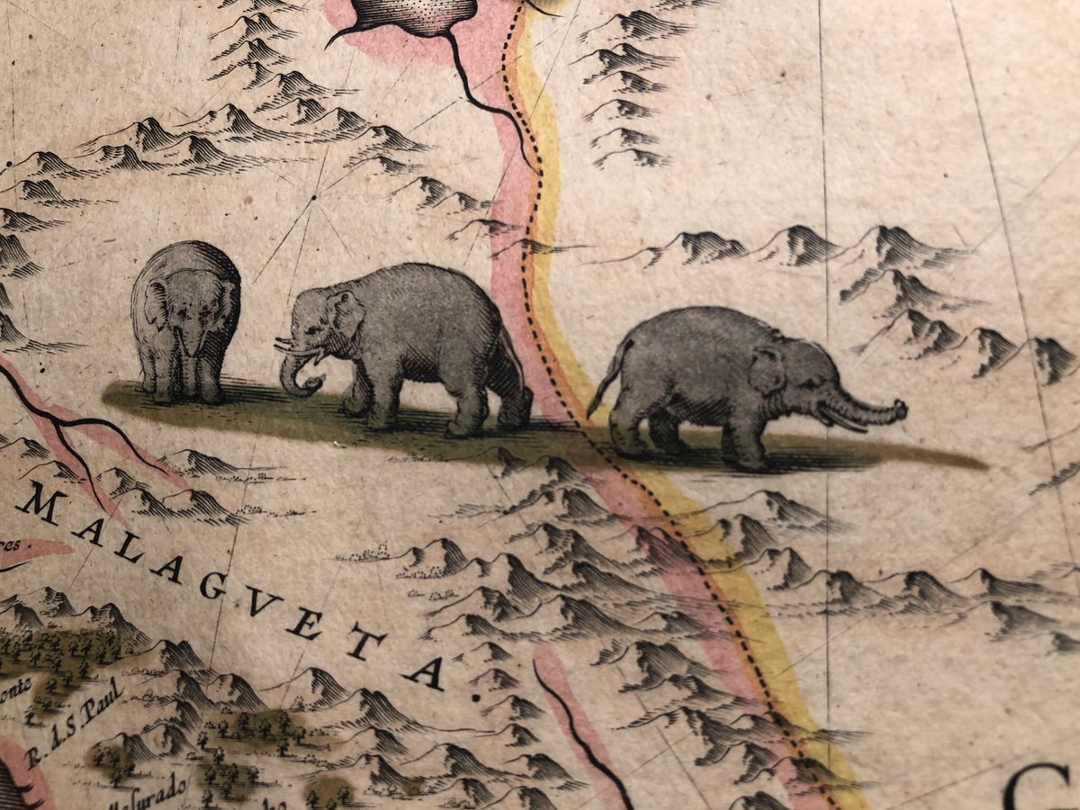 jdmccafferty's tweet photo. Some African elephants from a 1654 atlas https://t.co/0kl4AXdpTp