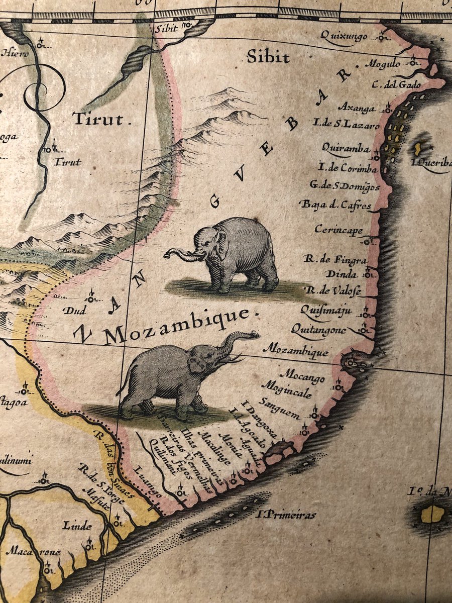 Some African elephants from a 1654 atlas