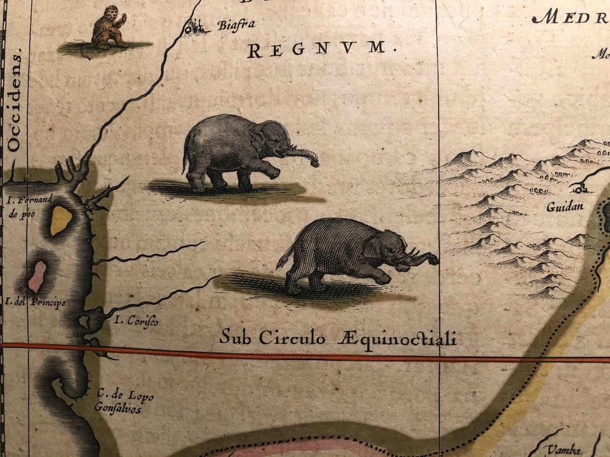 jdmccafferty's tweet photo. Some African elephants from a 1654 atlas https://t.co/0kl4AXdpTp