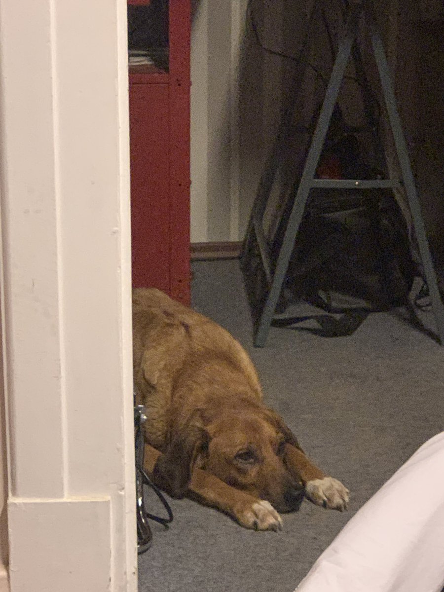 ein <a href="/excastyja/">numbabynasty</a> und 1 bebi humd