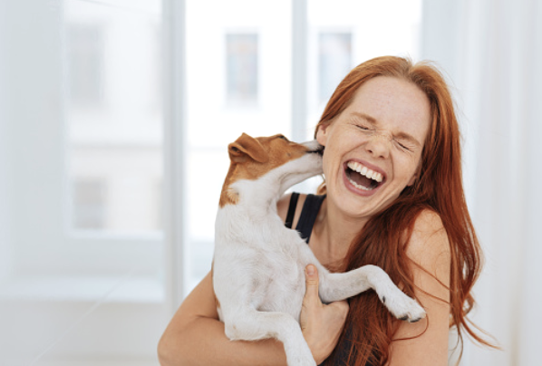 DMCpetposes's tweet photo. Smooch your pooch: get in the picture!

One of our favorite pictures we've taken for our clients before! ❤️😊
#petposes
#petphotography
#photodisplay https://t.co/KsQmpGHAmW