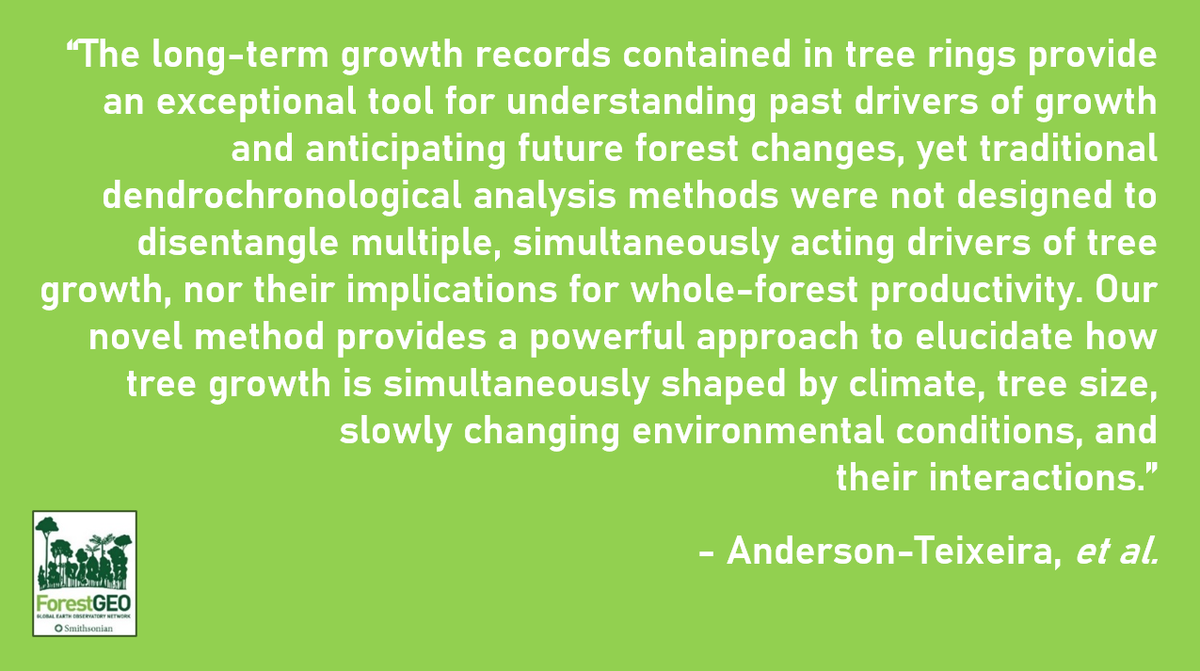 ForestGEO's tweet photo. A new paper by @K_A_Teixeira, et al. uses tree ring data from NINE @ForestGEO sites (spanning 3,811 trees across 40 species) to explore the joint effects of climate, tree size, &amp; other drivers on individual growth: https://t.co/wem6MOnQxh https://t.co/CqtntVJpmX