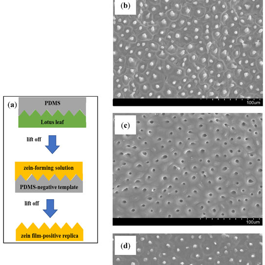 Atlas of Science tweet media