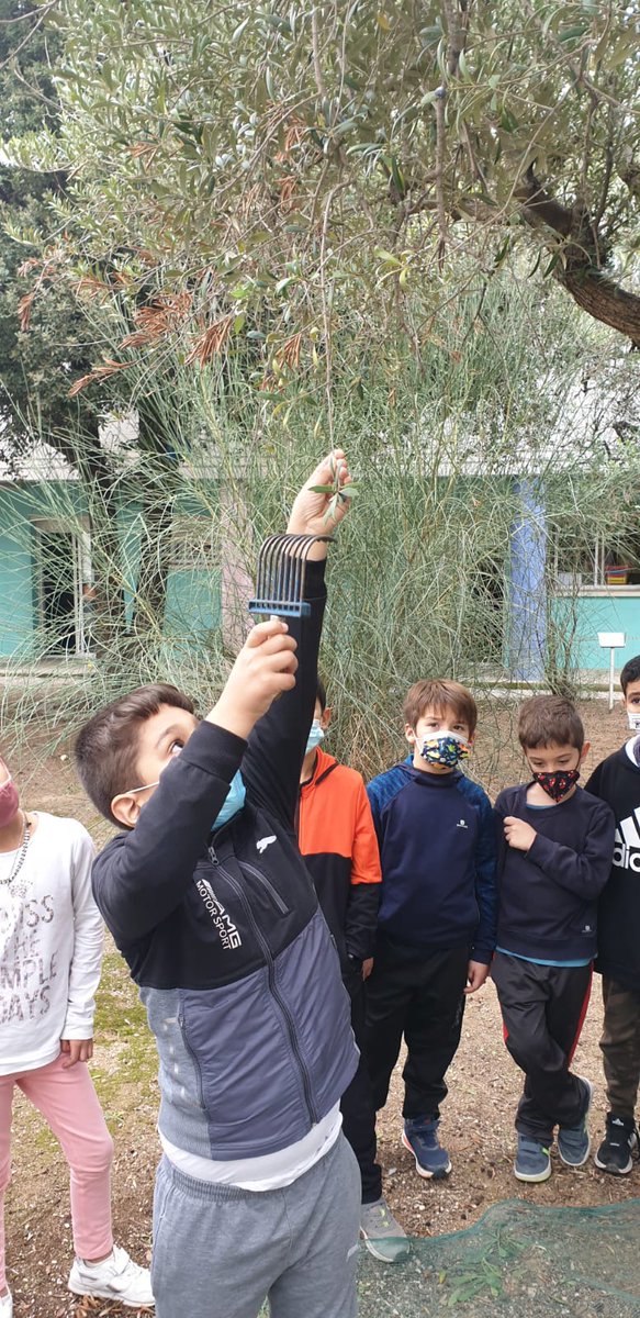 Escola Àngel Guimerà El Vendrell tweet media