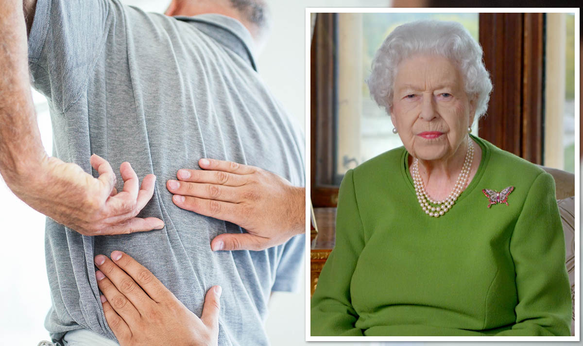 Daily_Express's tweet photo. The Queen could not attend a recent event due to a #BackStrain - with back pain impacting 2.5 millon Britons on average but what are the key symptoms of this condition?
https://t.co/oZ9db6bvFg https://t.co/46PmQ5SUNn