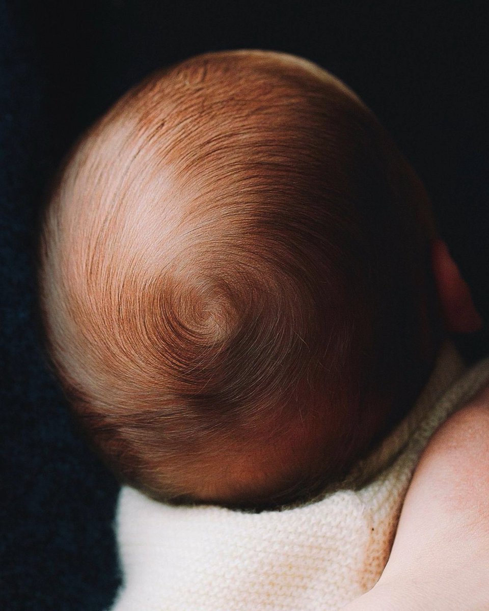 The beginning of life.

Por la fotógrafa alemana Evelyn Dragan.