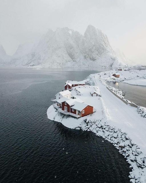 Errigx's tweet photo. Quién para 🇳🇴🇳🇴🇳🇴 https://t.co/e2SOxjLJR5