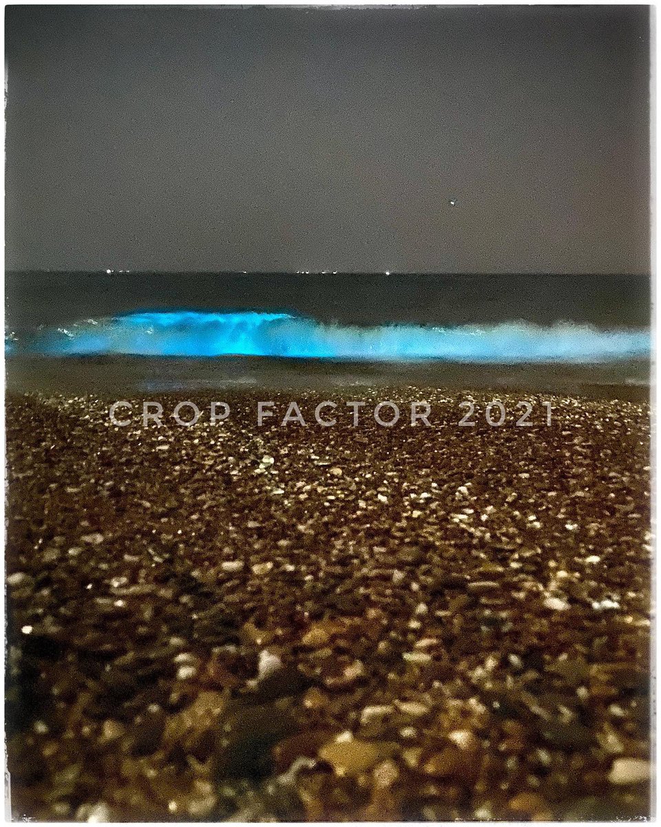 factor_crop's tweet photo. Just witnessed this natural wonder and phenomenon when there is lots of #bioluminescence in the #water

#marine #beach #amazingnature #nature #blue #bluesea #ShotOniPhone #apple #bluewater #bluewaves #arabiansea #travelpakistan #life @Apple #bluewater #bluesea https://t.co/lMCDSmERgJ