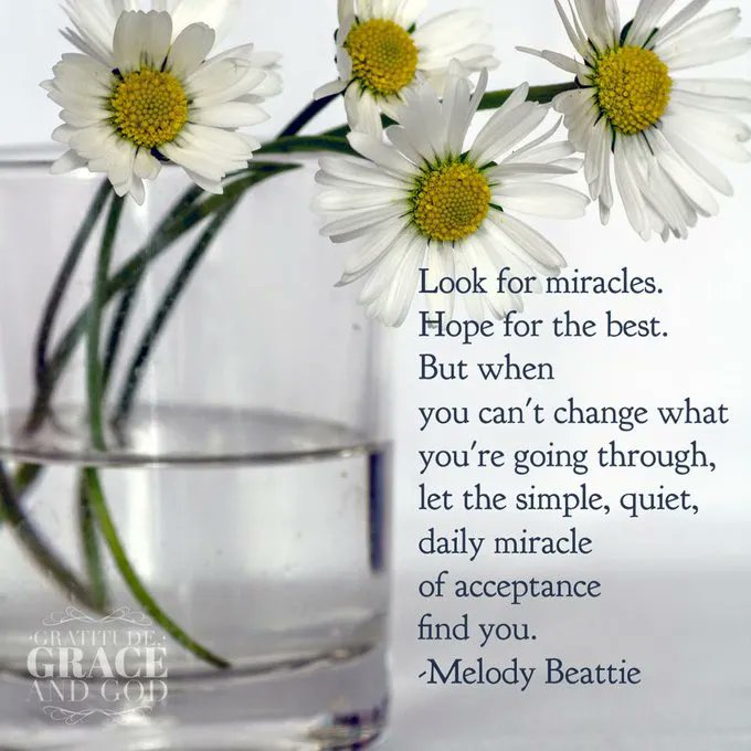 KariJoys's tweet photo. True #Acceptance is a #Miracle! #JoyTrain #Joy #SelfLove #MentalHealth #Mindfulness #Quote #IAM RT @JonDLand https://t.co/68tm7lIrjD