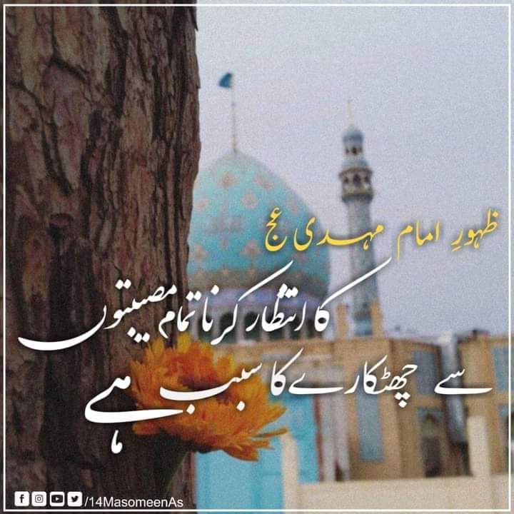ImamMahdiajf313's tweet photo. 💌کیا آپ جانتے ہیں:
                   
❤مَا جَعَلَ اللَّهُ لِرَجُلٍ مِنْ قَلْبَيْنِ فِي جَوْفِهِ"
(سورہ الاحزاب آیت4)

🍁اور اللہﷻ نے کسی مرد کے سینے میں دو دل قرار نہیں دیۓ"

🍁جس دل میں نامحرم کی محبت ہو اس دل میں وقت کے حضرت امام حسینؑ کی م��بت نہیں آ سکتی" https://t.co/4J3G7YZVhL