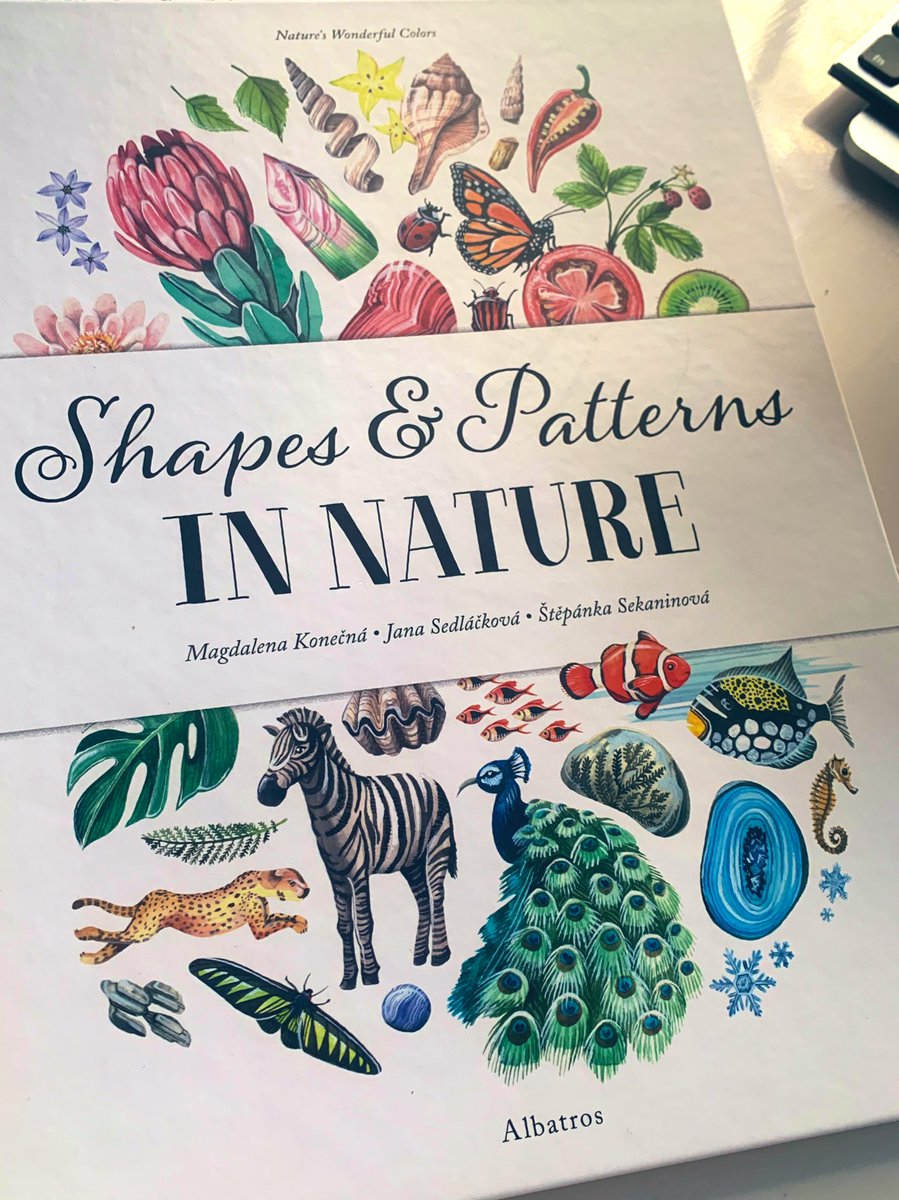 katervelle's tweet photo. First book I’ve preordered in a while and it’s spectacular in person. Haven’t found the artists or any mention of this gorgeous thing on twitter! #BookTwitter #giftideas #illustration @Audrey_Burges this is your jam! https://t.co/rO3EPaN8Ip