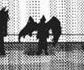 birdmanhawks_'s tweet photo. arrives on your tl menacingly https://t.co/0ab7UVpeFC