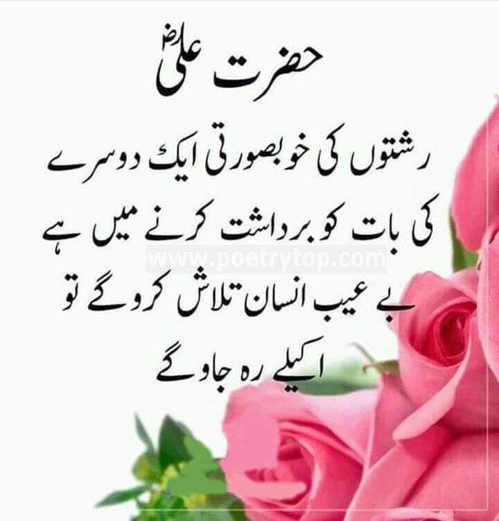 MAshrafSajid2's tweet image. 