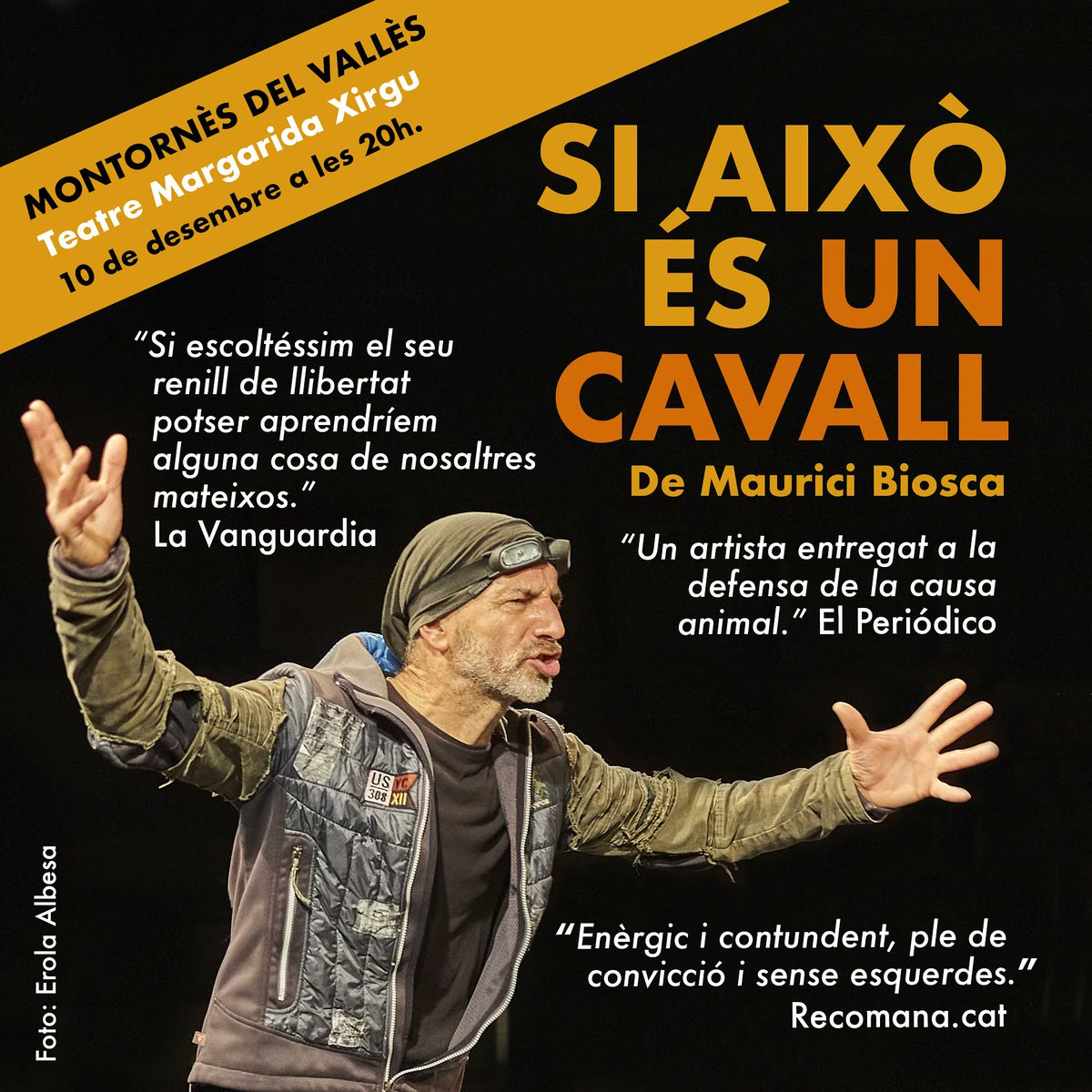 Reserveu el vespre del 10 de desembre. #siaixoesuncavall #teatre #activismecultural #cultura #montornesdelvalles #homecavall #artsesceniques #teatremargaridaxirgu