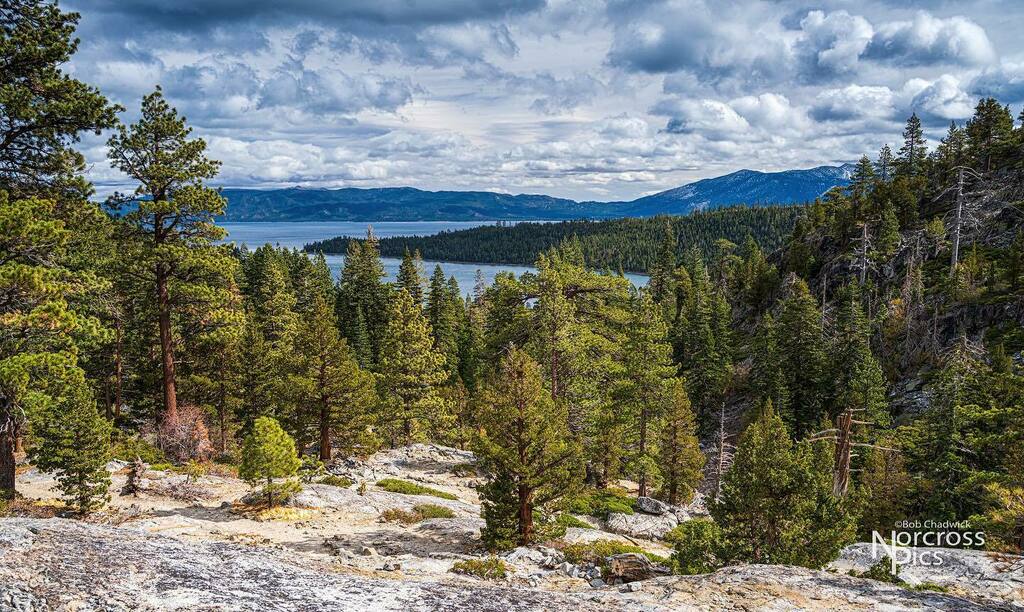 NorcrossPics's tweet photo. Lake Tahoe from Eagle Falls Trail #laketahoe #eaglefallstrail #castateparks #sierranevada #desolationwilderness https://t.co/6XIDbWVBxw https://t.co/aBKotZtQuw
