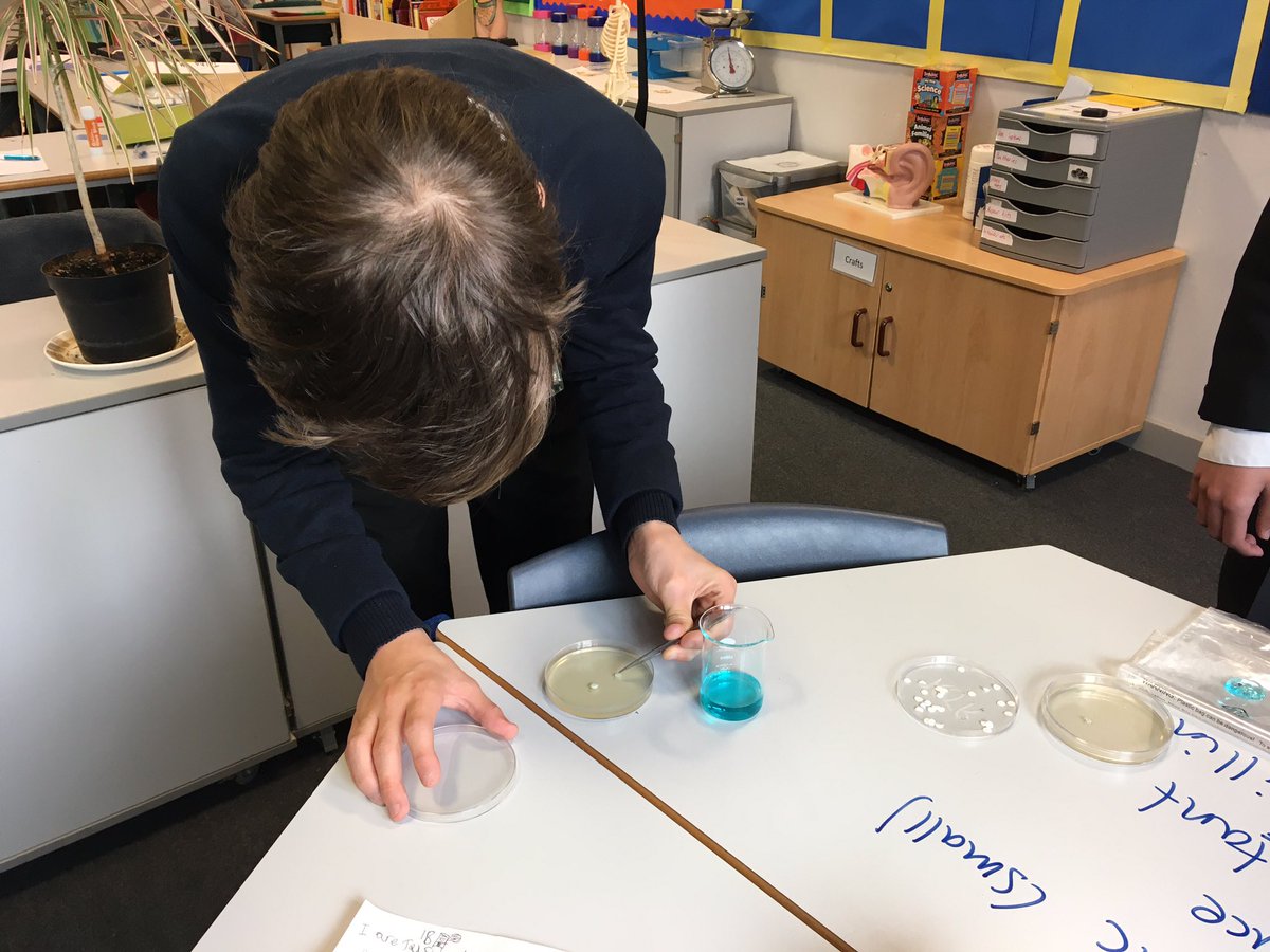 FPUatNUSA's tweet photo. Scientists in the FPU! Testing antibiotics to see how they can help stop the spread of bacteria. @OfficialNUSA @TeamScienceNUSA https://t.co/SulAn2kBtD