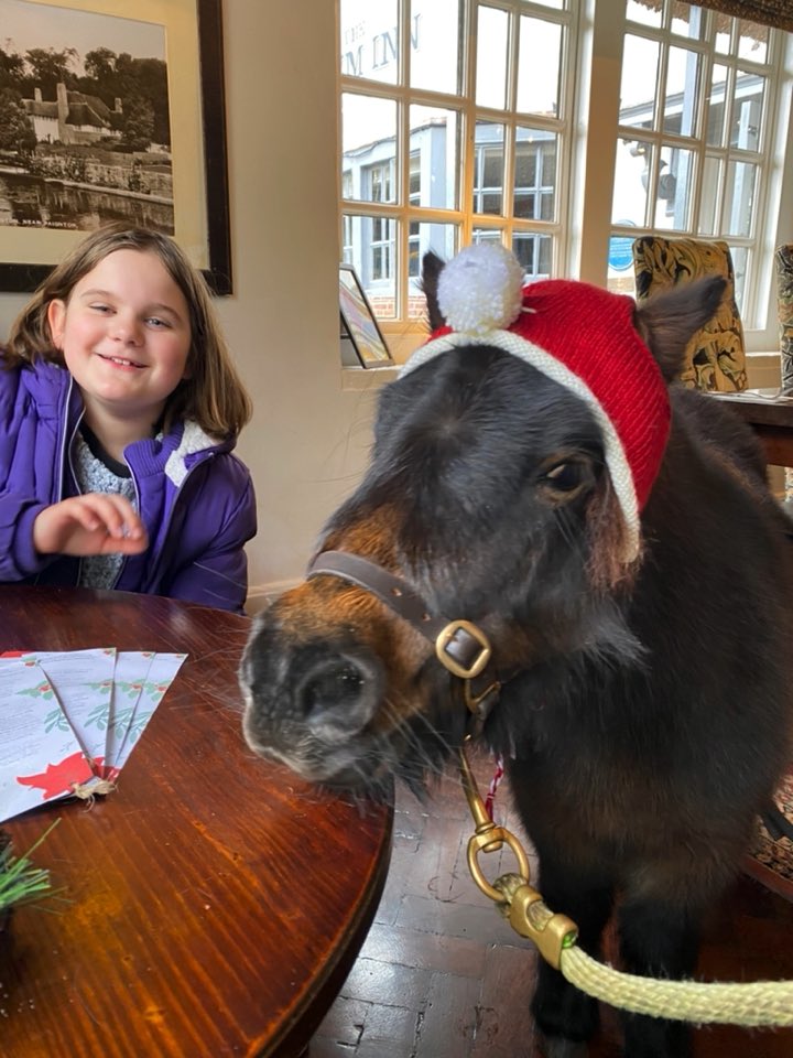 celebrity_pony's tweet photo. Patrick pony and Naomi #theapy @Torbay_Hour @aponyhour @ExmoorPonyClub @shetlandbook @supportwarhorse @WeareBoostMedia https://t.co/deqS4zY2D1