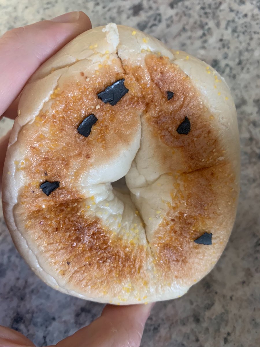 I’ve tasted some interesting seasonings on my bagels before, but shattered pieces of black plastic? 😬 <a href="/HyVee/">Hy-Vee</a>